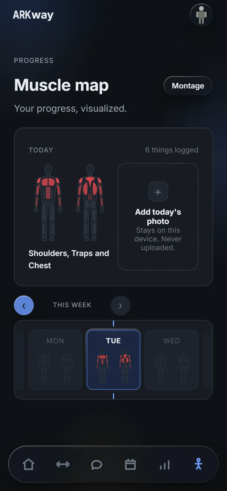 Progress: today's muscle map, with a photo slot that stays on your phone.
