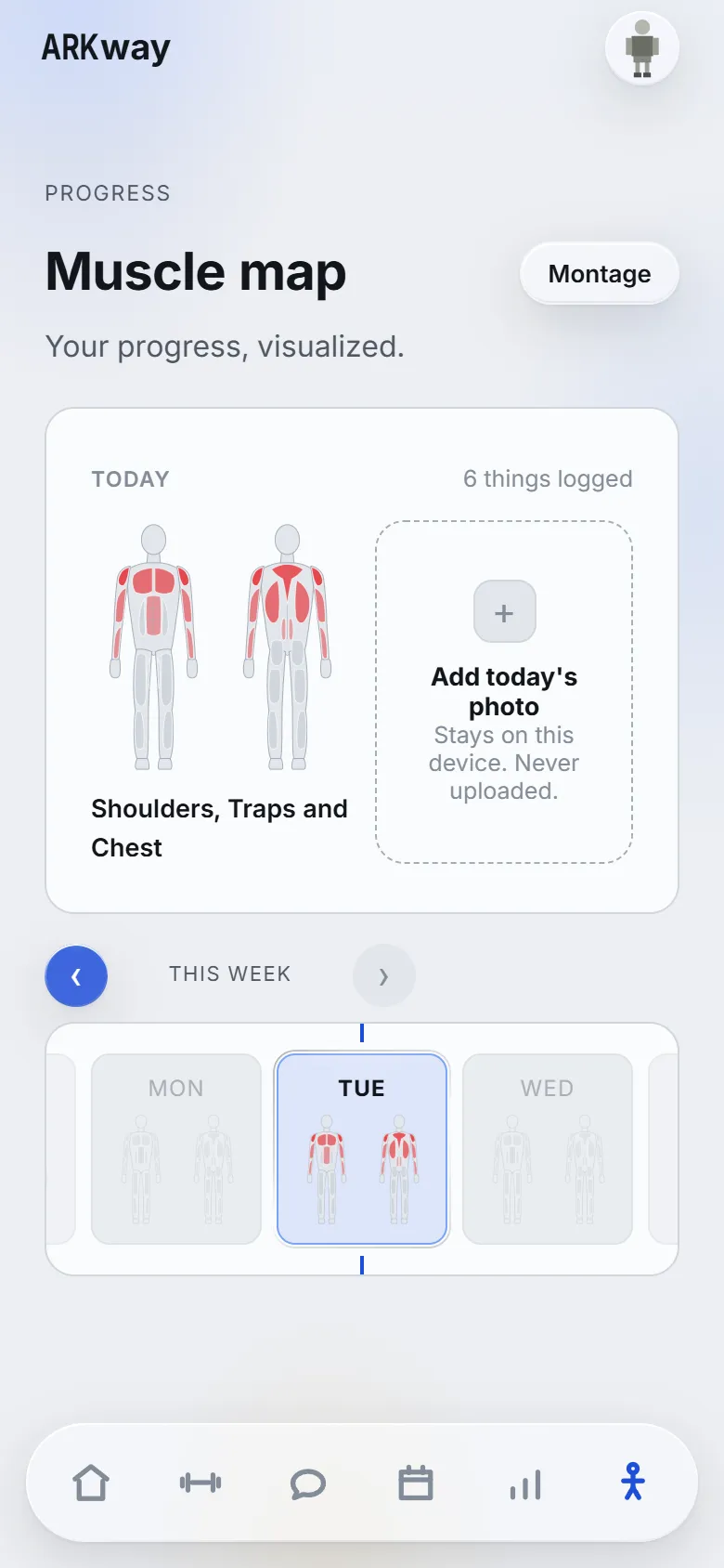 Progress: today's muscle map, with a photo slot that stays on your phone.
